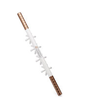 Load image into Gallery viewer, FasciaBlaster® (Display Stock / Open Box)
